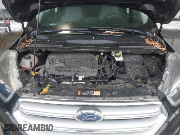 2017 Ford Escape SE with VIN 1FMCU0GD8HUB77633, listed as a IAAI auction lot 42158359 with 111,190 mi miles and . Bid and sale history available at DreamBid. Image 10.