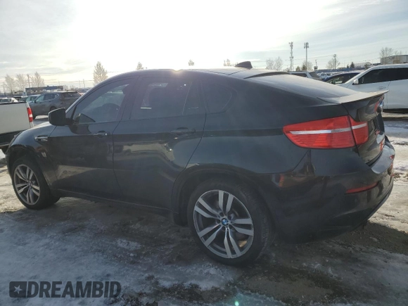 2010 BMW X6 M with VIN 5YMGZ0C57ALK13322, listed as a Copart auction lot 84522144 with 166,677 mi miles and Clean Title. Bid and sale history available at carsss.com. Image 2.