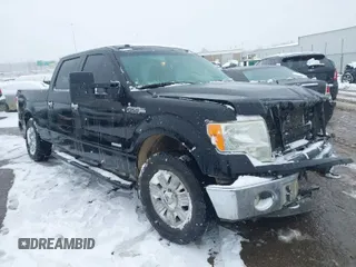 2011 Ford F-150 XLT with VIN 1FTFW1ET6BKE17468, listed as a IAAI auction lot 41206985 with 164,026 mi miles. Bid and sale history available at carsss.com. Image 1.