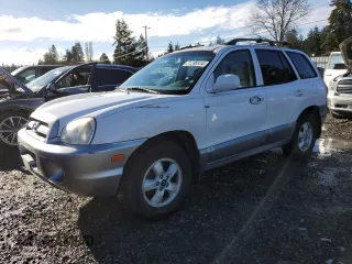 2005 Hyundai Santa Fe GLS with VIN KM8SC13D75U938125, listed as a Copart auction lot 81265824 with 175,296 mi miles and Salvage Title. Bid and sale history available at carsss.com. Image 1.