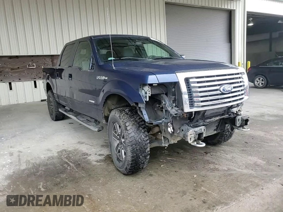 2011 Ford F-150 XLT with VIN 1FTFW1ET2BFB81443, listed as a Copart auction lot 46299165 with 250,287 mi miles and Salvage Title. Bid and sale history available at carsss.com. Image 10.