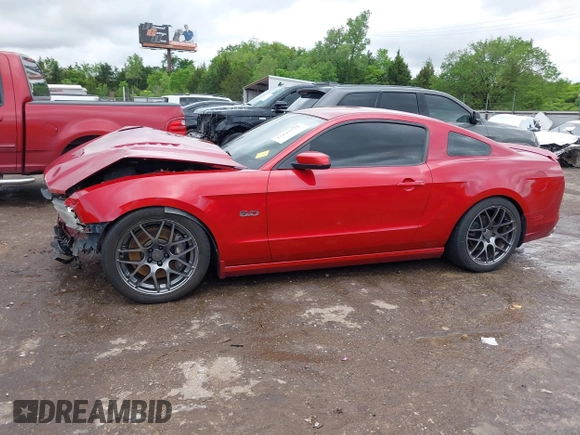2013 Ford Mustang GT with VIN 1ZVBP8CF5D5209257, listed as a IAAI auction lot 42141198 with 124,462 mi miles and . Bid and sale history available at DreamBid. Image 15.