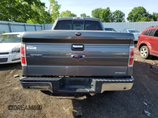 2014 Ford F-150 XL with VIN 1FTFX1EFXEFB09076, listed as a Copart auction lot 62085865 with 113,078 mi miles and Clean title. Bid and sale history available at DreamBid. Image 6.