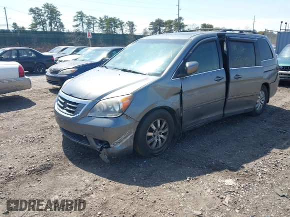 2009 Honda Odyssey EX-L with VIN 5FNRL38699B016981, listed as a IAAI auction lot 41950144 with Not Provided miles and . Bid and sale history available at DreamBid. Image 2.