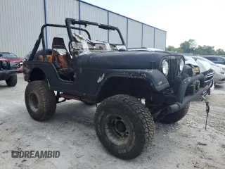 1978 Jeep Wrangler with VIN J8F83AH120742, listed as a Copart auction lot 60785485 with Not provided miles and Non repairable. Bid and sale history available at DreamBid. Image 4.