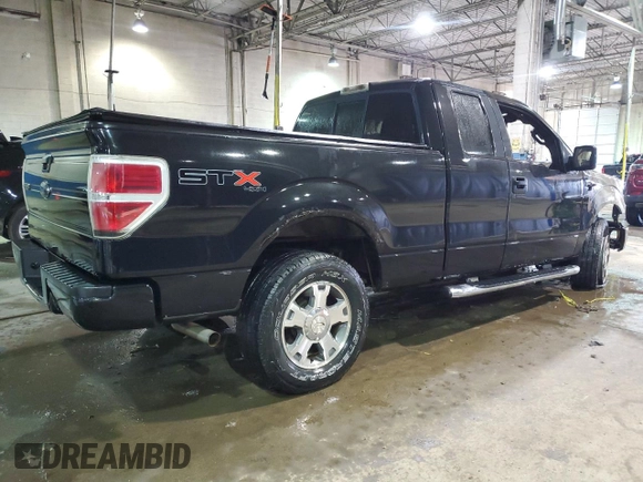 2010 Ford F-150 XL with VIN 1FTEX1EW1AFA40963, listed as a Copart auction lot 48222415 with Not Provided miles and Clean Title. Bid and sale history available at DreamBid. Image 3.