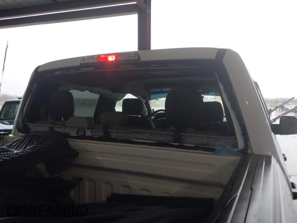 2016 Ford F-150 XL with VIN 1FTEW1CF5GKD18477, listed as a IAAI auction lot 41295275 with 168,271 mi miles and . Bid and sale history available at DreamBid. Image 6.