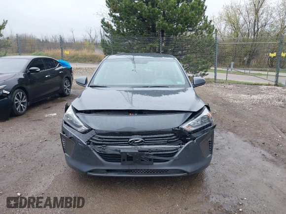 2019 Hyundai Ioniq Blue with VIN KMHC65LC7KU117578, listed as a IAAI auction lot 42173054 with 80,541 mi miles and . Bid and sale history available at DreamBid. Image 12.