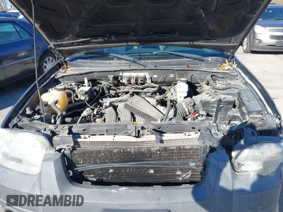 2007 Ford Escape XLT with VIN 1FMYU03137KA69934, listed as a IAAI auction lot 41007739 with 193,956 mi miles and . Bid and sale history available at DreamBid. Image 10.