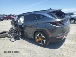 2023 Hyundai Tucson Limited with VIN 5NMJECAE3PH201340, listed as a Copart auction lot 58365505 with Not provided miles and Non repairable. Bid and sale history available at DreamBid. Image 2.