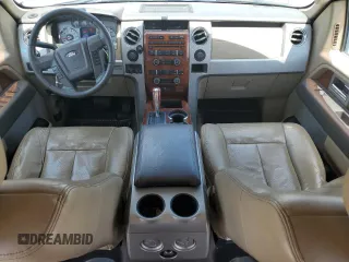 2009 Ford F-150 XL with VIN 1FTPW14V79FA60490, listed as a Copart auction lot 62701335 with 167,017 mi miles and Salvage title. Bid and sale history available at DreamBid. Image 8.