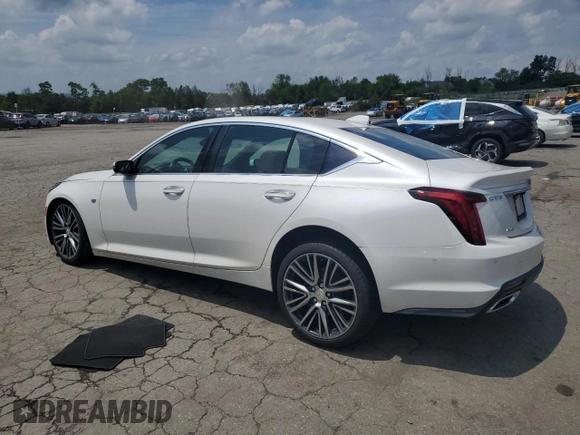 2020 Cadillac CT5 Premium Luxury с VIN 1G6DT5RK4L0127464, выставлен на аукционе Copart как лот 63096805 с пробегом 22 380 миль миль и Списание • Salvage title. История ставок и продаж доступна на DreamBid. Изображение 2.