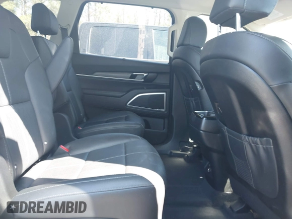 2022 Kia Telluride EX with VIN 5XYP3DHC2NG226263, listed as a IAAI auction lot 41893478 with 57,837 mi miles and . Bid and sale history available at carsss.com. Image 8.