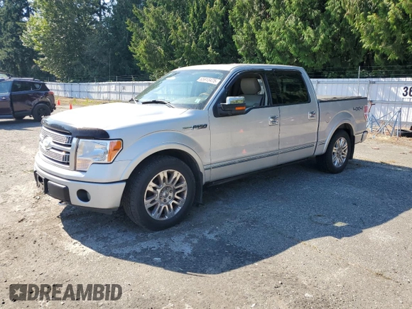 2009 Ford F-150 XL with VIN 1FTPW14V69FA48640, listed as a Copart auction lot 65913475 with 134,839 mi miles and Salvage title. Bid and sale history available at DreamBid. Image 1.