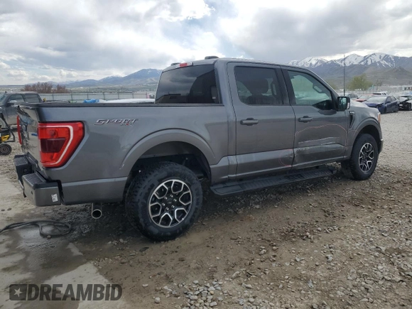 2023 Ford F-150 XL with VIN 1FTFW1E50PFC07174, listed as a Copart auction lot 54846365 with 36,223 mi miles and Non Repairable. Bid and sale history available at carsss.com. Image 3.