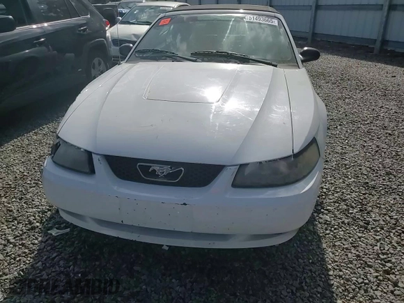 2004 Ford Mustang Deluxe with VIN 1FAFP446X4F219438, listed as a Copart auction lot 51493665 with 73,243 mi miles and Salvage Title. Bid and sale history available at carsss.com. Image 10.