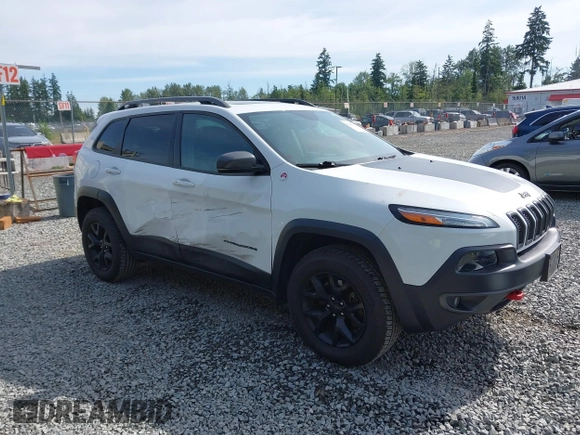 2018 Jeep Cherokee Trailhawk z VIN 1C4PJMBX3JD533323, wystawiony jako IAAI lot #42450626 z przebiegiem 123 174 mil mil oraz . Historia ofert i sprzedaży dostępna na DreamBid. Obrazek 13.