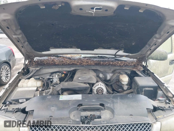 2005 Chevrolet Silverado 1500 Z71 with VIN 1GCEK19B25E325317, listed as a IAAI auction lot 42195743 with 253,221 mi miles and . Bid and sale history available at DreamBid. Image 10.
