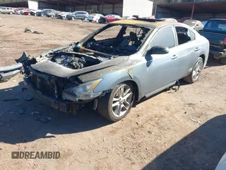 2010 Nissan Maxima SV with VIN 1N4AA5AP5AC824186, listed as a IAAI auction lot 41377558 with Not provided miles and . Bid and sale history available at DreamBid. Image 2.