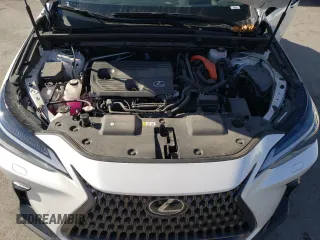 2022 Lexus NX with VIN JTJHKCEZ5N5003392, listed as a Copart auction lot 81854493 with 19,653 mi miles. Bid and sale history available at carsss.com. Image 12.