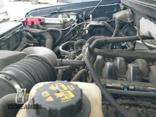 2011 Ford F-150 XL with VIN 1FTFX1EF9BFD19065, listed as a IAAI auction lot 43367893 with 131,491 mi miles and . Bid and sale history available at DreamBid. Image 19.