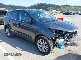 2019 Ford Escape SE z VIN 1FMCU0GD8KUB01935, wystawiony jako IAAI lot #41951401 z przebiegiem 66 277 mil mil oraz . Historia ofert i sprzedaży dostępna na DreamBid. Obrazek 1.