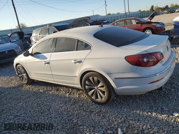 2010 Volkswagen CC with VIN WVWHN9AN6AE532487, listed as a Copart auction lot 74472224 with 119,629 mi miles and Salvage Title. Bid and sale history available at DreamBid. Image 2.