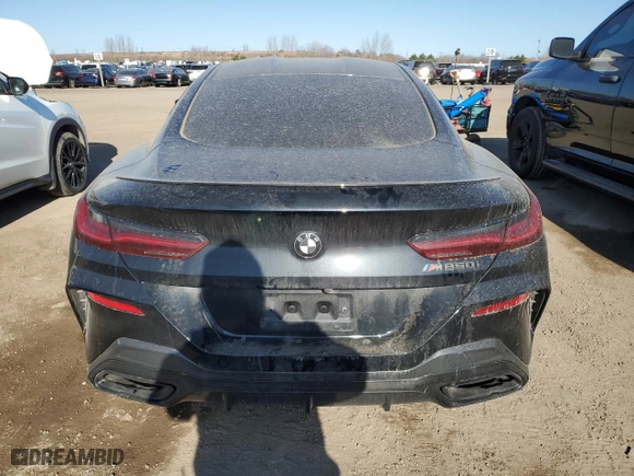 2020 BMW 8 Series M850i xDrive with VIN WBABC4C04LBU96980, listed as a Copart auction lot 48780995 with 76,690 mi miles and Clean Title. Bid and sale history available at carsss.com. Image 6.