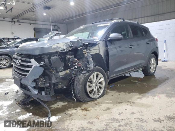 2017 Hyundai Tucson SE with VIN KM8J33A49HU331741, listed as a Copart auction lot 41931535 with Not Provided miles and Salvage Title. Bid and sale history available at DreamBid. Image 1.