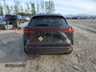 2022 Lexus NX with VIN JTJHKCFZ7N2004995, listed as a Copart auction lot 53300465 with 19,050 mi miles and Salvage Title. Bid and sale history available at carsss.com. Image 6.