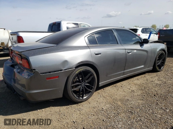 2011 Dodge Charger Rallye Plus with VIN 2B3CL3CG7BH503880, listed as a Copart auction lot 71498424 with 102,098 mi miles and Salvage Title. Bid and sale history available at carsss.com. Image 3.