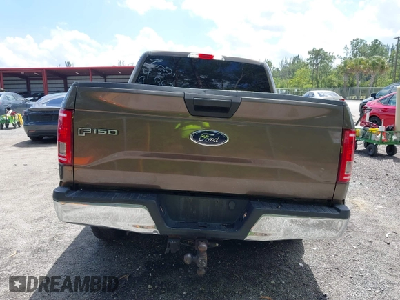 2017 Ford F-150 XL with VIN 1FTEW1CF6HFB67496, listed as a IAAI auction lot 41884533 with 156,424 mi miles and . Bid and sale history available at DreamBid. Image 17.