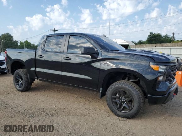 2023 Chevrolet Silverado 1500 Custom Trail Boss with VIN 3GCUDCE85PG293096, listed as a Copart auction lot 68750824 with 17,310 mi miles and Salvage Title. Bid and sale history available at carsss.com. Image 4.