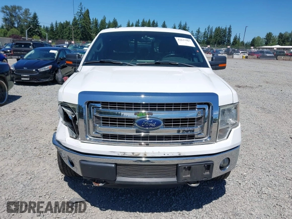 2013 Ford F-150 XL with VIN 1FTFW1ET7DKF53580, listed as a IAAI auction lot 42637967 with 125,998 mi miles and . Bid and sale history available at DreamBid. Image 13.