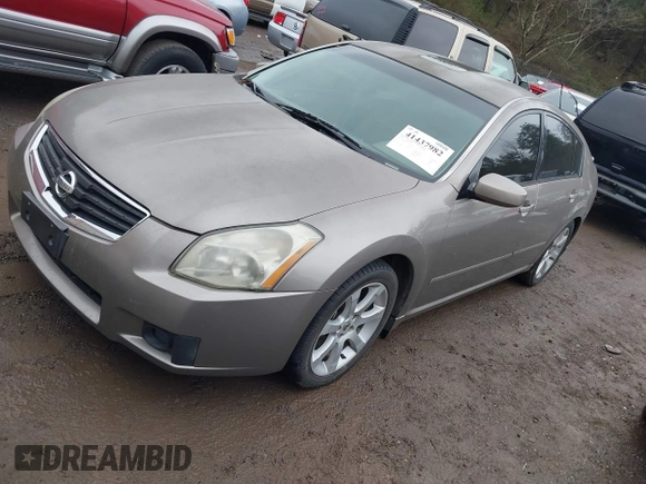 2008 Nissan Maxima 3.5 SL with VIN 1N4BA41E78C814301, listed as a IAAI auction lot 41437982 with 216,552 mi miles. Bid and sale history available at carsss.com. Image 2.