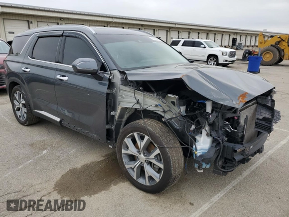 2020 Hyundai Palisade SEL with VIN KM8R4DHE7LU169377, listed as a Copart auction lot 52479895 with 58,828 mi miles and Salvage title. Bid and sale history available at DreamBid. Image 4.