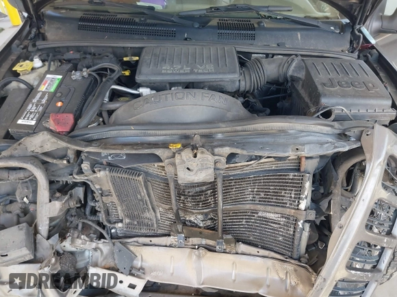1999 Jeep Grand Cherokee Limited z VIN 1J4GW68N0XC512229, wystawiony jako IAAI lot #42189815 z przebiegiem 230 028 mil mil oraz . Historia ofert i sprzedaży dostępna na DreamBid. Obrazek 10.