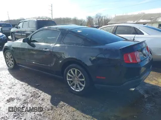 2011 Ford Mustang V6 with VIN 1ZVBP8AM5B5150824, listed as a IAAI auction lot 41539133 with 239,148 mi miles and . Bid and sale history available at carsss.com. Image 3.
