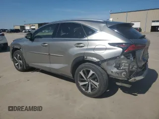 2019 Lexus NX 300 with VIN JTJBARBZ9K2197650, listed as a Copart auction lot 50976215 with 49,021 mi miles and Salvage Title. Bid and sale history available at DreamBid. Image 2.