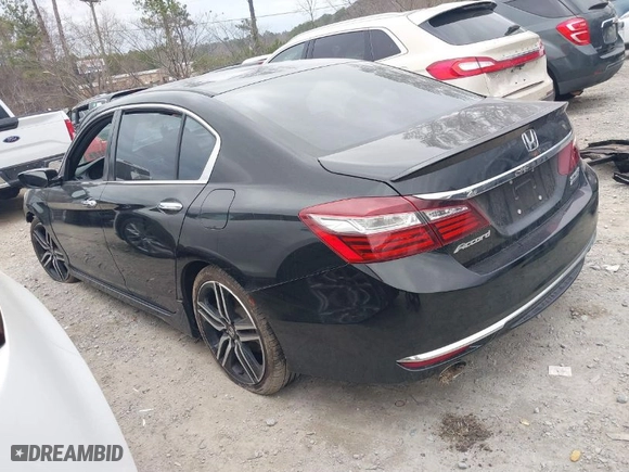 2017 Honda Accord Sedan Sport SE with VIN 1HGCR2F12HA257540, listed as a IAAI auction lot 41506013 with 143,578 mi miles. Bid and sale history available at carsss.com. Image 3.