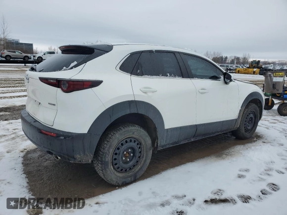 2021 Mazda CX-30 Preferred with VIN 3MVDMBCL2MM244256, listed as a Copart auction lot 44187995 with Not Provided miles and Salvage Title. Bid and sale history available at DreamBid. Image 3.