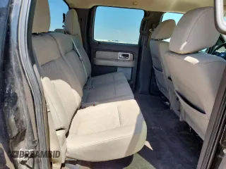 2010 Ford F-150 XL with VIN 1FTEW1C86AFC56413, listed as a Copart auction lot 61371355 with 251,151 mi miles and Salvage title. Bid and sale history available at DreamBid. Image 10.
