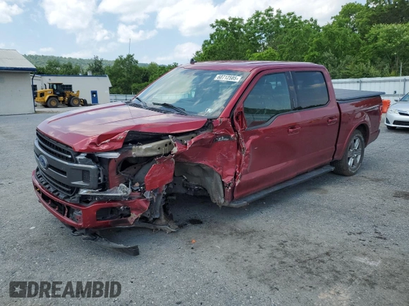 2019 Ford F-150 XL with VIN 1FTEW1EP0KFB14211, listed as a Copart auction lot 60712585 with 92,013 mi miles and Salvage title. Bid and sale history available at DreamBid. Image 1.