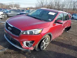 2017 Kia Sorento EX with VIN 5XYPHDA51HG313606, listed as a IAAI auction lot 41203028 with 46 mi miles and . Bid and sale history available at DreamBid. Image 18.
