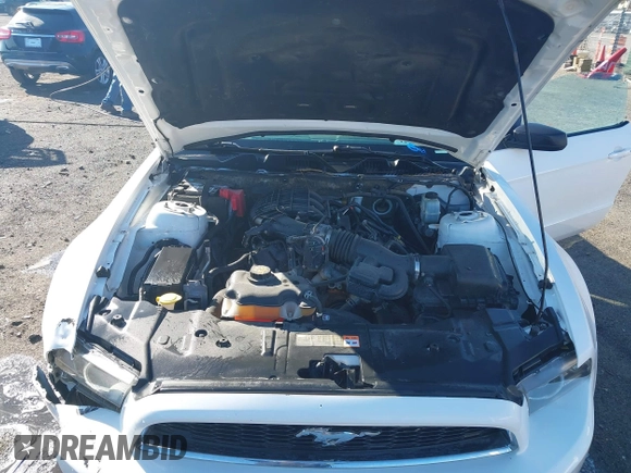 2013 Ford Mustang V6 with VIN 1ZVBP8AM6D5275902, listed as a IAAI auction lot 41750633 with 246,762 mi miles and . Bid and sale history available at DreamBid. Image 10.
