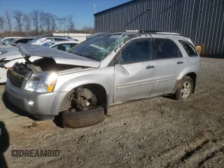 2005 Chevrolet Equinox LS with VIN 2CNDL23F956029222, listed as a Copart auction lot 46320025 with 193,333 mi miles and Salvage Title. Bid and sale history available at carsss.com. Image 1.