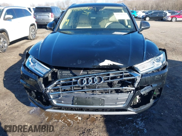 2019 Audi Q5 Premium with VIN WA1ANAFY7K2043454, listed as a IAAI auction lot 41620464 with 57,516 mi miles. Bid and sale history available at carsss.com. Image 12.