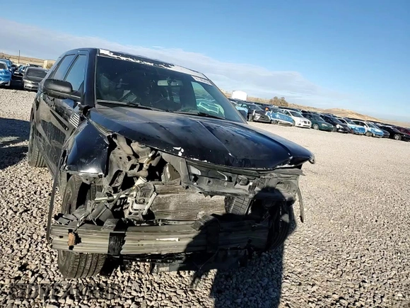 2016 Ford Utility Police Interceptor with VIN 1FM5K8AR4GGC07998, listed as a Copart auction lot 81365434 with 0 mi miles and Salvage Title. Bid and sale history available at carsss.com. Image 11.