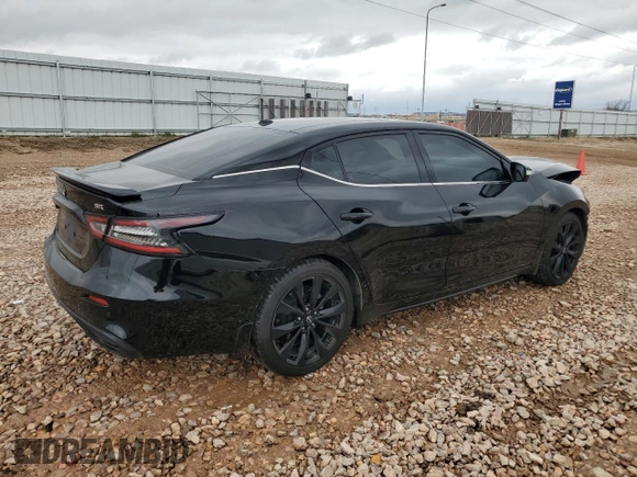 2023 Nissan Maxima SR with VIN 1N4AA6EV3PC502881, listed as a Copart auction lot 54789035 with 41,416 mi miles and Salvage title. Bid and sale history available at DreamBid. Image 3.