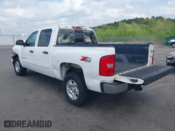 2009 Chevrolet Silverado 1500 LT with VIN 3GCEK23M29G132888, listed as a IAAI auction lot 41946696 with 254,228 mi miles and . Bid and sale history available at DreamBid. Image 3.